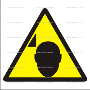 Mind Your Head Symbol (6.005)