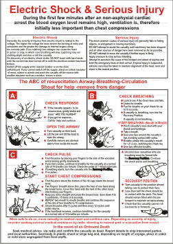 Electric Shock & Serious Injury Poster (9.073)