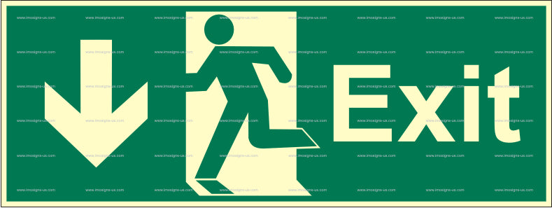 Exit Down Left Sign (2.101.2)