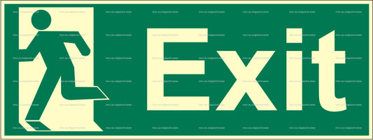 Exit Running Man Left Sign (2.101)